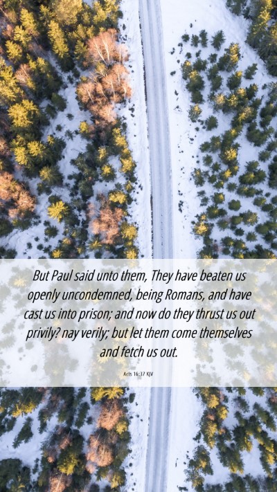 Picture 06 - Acts 16:37 KJV Mobile Phone Wallpaper - But Paul said unto them, They have beaten us - Mobile Bible Verse Wallpaper