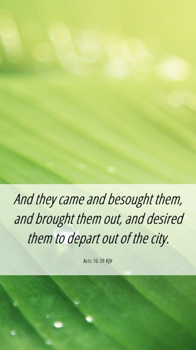 Picture 06 - Acts 16:39 KJV Mobile Phone Wallpaper - And they came and besought them, and brought them - Mobile Bible Verse Wallpaper