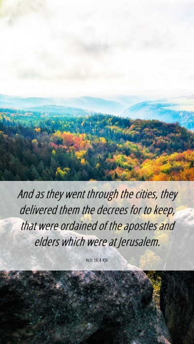 Picture 06 - Acts 16:4 KJV Mobile Phone Wallpaper - And as they went through the cities, they - Mobile Bible Verse Wallpaper