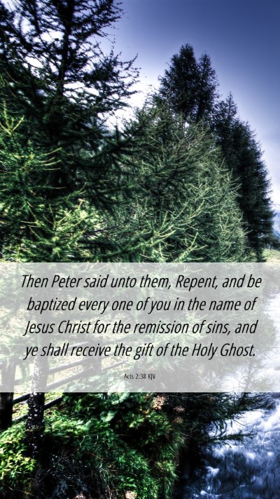 Picture 06 - Acts 2:38 KJV Mobile Phone Wallpaper - Then Peter said unto them, Repent, and be - Mobile Bible Verse Wallpaper