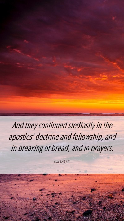 Picture 06 - Acts 2:42 KJV Mobile Phone Wallpaper - And they continued stedfastly in the apostles' - Mobile Bible Verse Wallpaper
