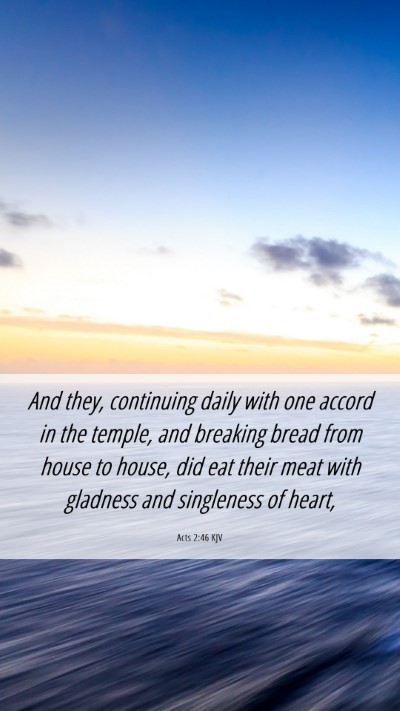 Picture 06 - Acts 2:46 KJV Mobile Phone Wallpaper - And they, continuing daily with one accord in the - Mobile Bible Verse Wallpaper