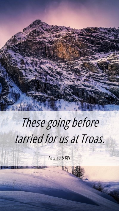 Picture 06 - Acts 20:5 KJV Mobile Phone Wallpaper - These going before tarried for us at - Mobile Bible Verse Wallpaper