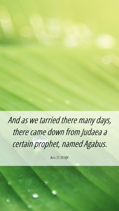Picture 06 - Acts 21:10 KJV Mobile Phone Wallpaper - And as we tarried there many days, there came - Mobile Bible Verse Wallpaper