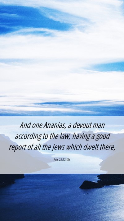 Picture 06 - Acts 22:12 KJV Mobile Phone Wallpaper - And one Ananias, a devout man according to the - Mobile Bible Verse Wallpaper