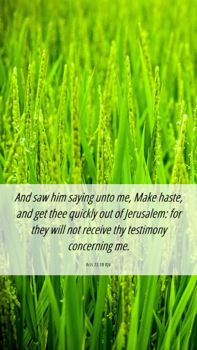 Picture 06 - Acts 22:18 KJV Mobile Phone Wallpaper - And saw him saying unto me, Make haste, and get - Mobile Bible Verse Wallpaper