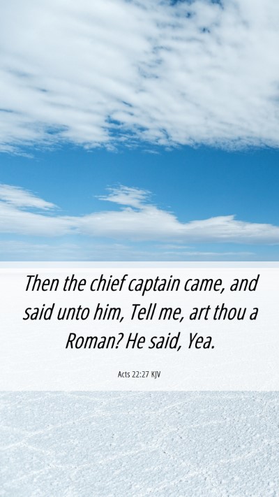 Picture 06 - Acts 22:27 KJV Mobile Phone Wallpaper - Then the chief captain came, and said unto him, - Mobile Bible Verse Wallpaper