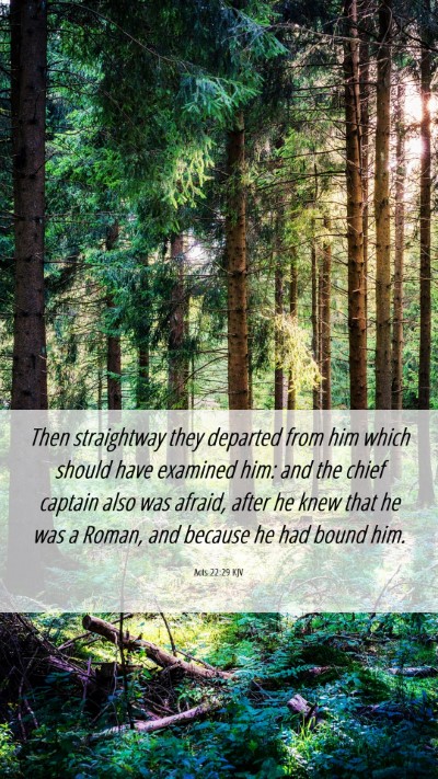 Picture 06 - Acts 22:29 KJV Mobile Phone Wallpaper - Then straightway they departed from him which - Mobile Bible Verse Wallpaper