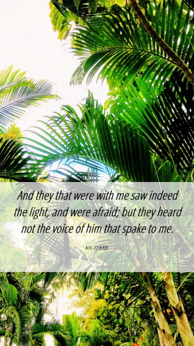 Picture 06 - Acts 22:9 KJV Mobile Phone Wallpaper - And they that were with me saw indeed the light, - Mobile Bible Verse Wallpaper