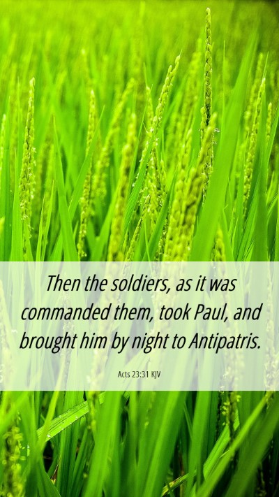 Picture 06 - Acts 23:31 KJV Mobile Phone Wallpaper - Then the soldiers, as it was commanded them, took - Mobile Bible Verse Wallpaper
