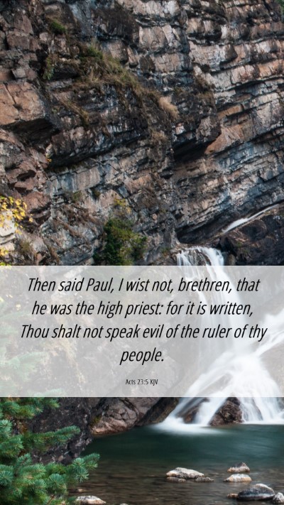 Picture 06 - Acts 23:5 KJV Mobile Phone Wallpaper - Then said Paul, I wist not, brethren, that he was - Mobile Bible Verse Wallpaper