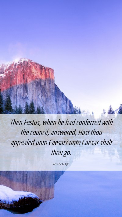Picture 06 - Acts 25:12 KJV Mobile Phone Wallpaper - Then Festus, when he had conferred with the - Mobile Bible Verse Wallpaper