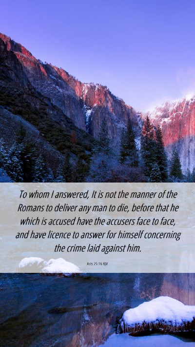 Picture 06 - Acts 25:16 KJV Mobile Phone Wallpaper - To whom I answered, It is not the manner of the - Mobile Bible Verse Wallpaper
