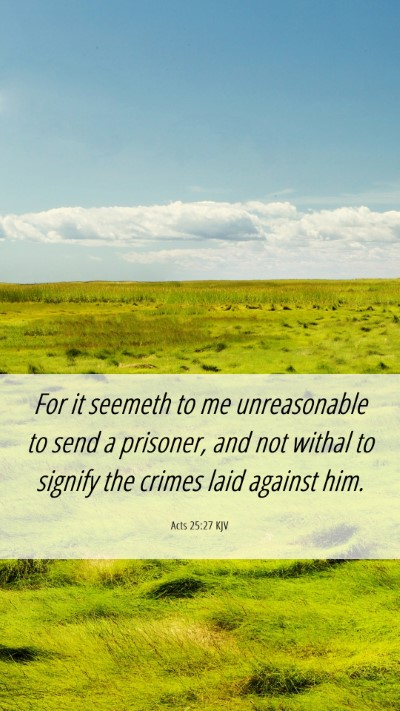 Picture 06 - Acts 25:27 KJV Mobile Phone Wallpaper - For it seemeth to me unreasonable to send a - Mobile Bible Verse Wallpaper
