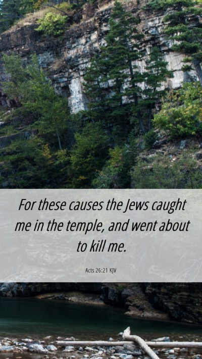 Picture 06 - Acts 26:21 KJV Mobile Phone Wallpaper - For these causes the Jews caught me in the - Mobile Bible Verse Wallpaper