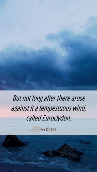 Picture 06 - Acts 27:14 KJV Mobile Phone Wallpaper - But not long after there arose against it a - Mobile Bible Verse Wallpaper