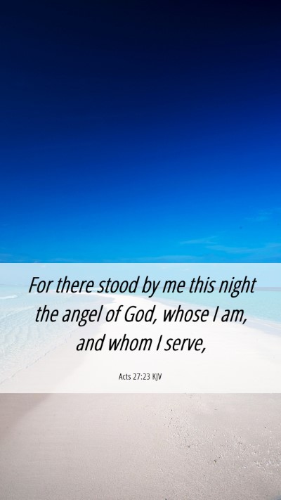Picture 06 - Acts 27:23 KJV Mobile Phone Wallpaper - For there stood by me this night the angel of - Mobile Bible Verse Wallpaper
