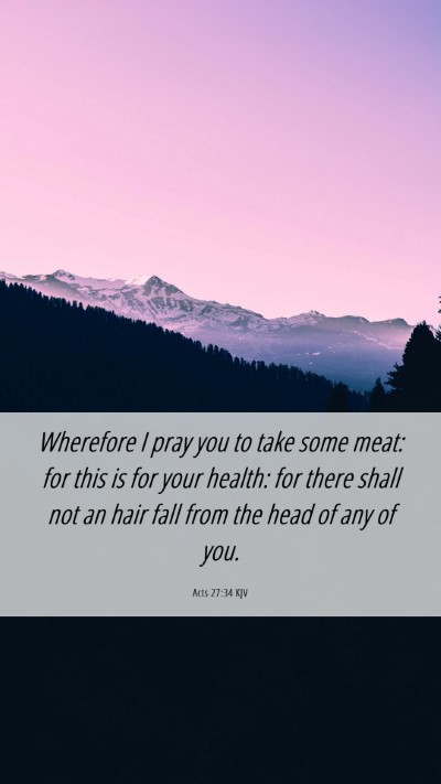 Picture 06 - Acts 27:34 KJV Mobile Phone Wallpaper - Wherefore I pray you to take some meat: for this - Mobile Bible Verse Wallpaper