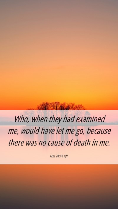 Picture 06 - Acts 28:18 KJV Mobile Phone Wallpaper - Who, when they had examined me, would have let me - Mobile Bible Verse Wallpaper