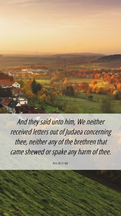 Picture 06 - Acts 28:21 KJV Mobile Phone Wallpaper - And they said unto him, We neither received - Mobile Bible Verse Wallpaper
