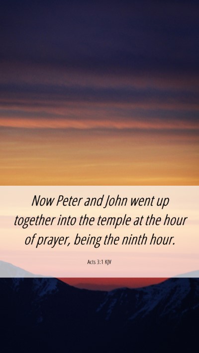 Picture 06 - Acts 3:1 KJV Mobile Phone Wallpaper - Now Peter and John went up together into the - Mobile Bible Verse Wallpaper