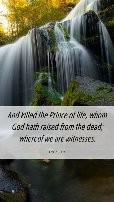 Picture 06 - Acts 3:15 KJV Mobile Phone Wallpaper - And killed the Prince of life, whom God hath - Mobile Bible Verse Wallpaper