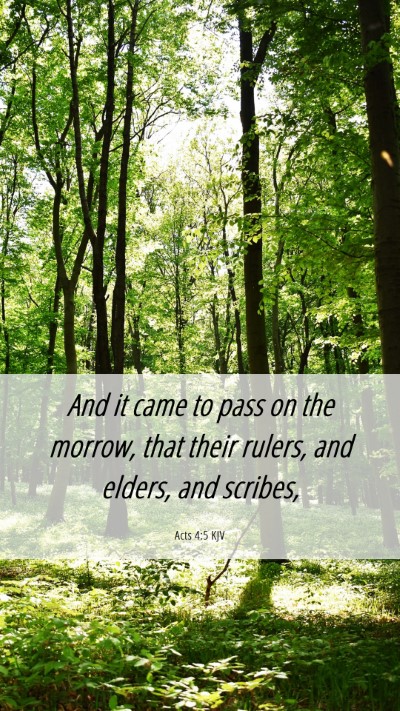 Picture 06 - Acts 4:5 KJV Mobile Phone Wallpaper - And it came to pass on the morrow, that their - Mobile Bible Verse Wallpaper