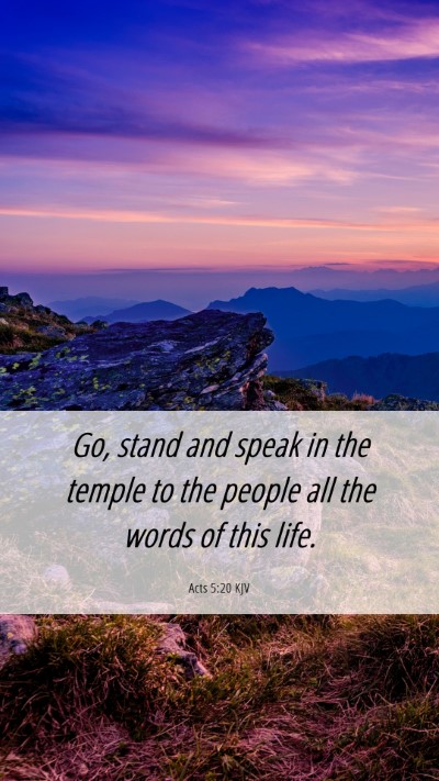 Picture 06 - Acts 5:20 KJV Mobile Phone Wallpaper - Go, stand and speak in the temple to the people - Mobile Bible Verse Wallpaper