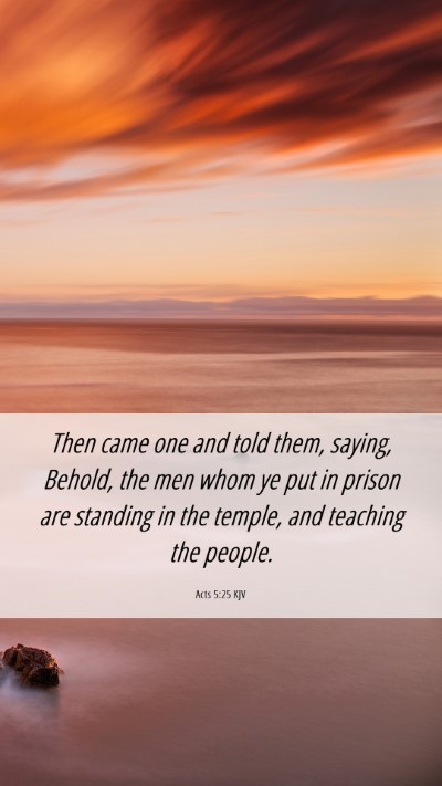 Picture 06 - Acts 5:25 KJV Mobile Phone Wallpaper - Then came one and told them, saying, Behold, the - Mobile Bible Verse Wallpaper