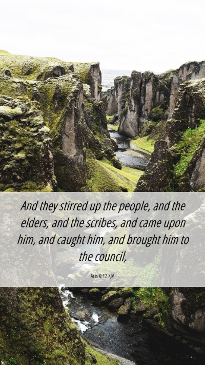 Picture 06 - Acts 6:12 KJV Mobile Phone Wallpaper - And they stirred up the people, and the elders, - Mobile Bible Verse Wallpaper