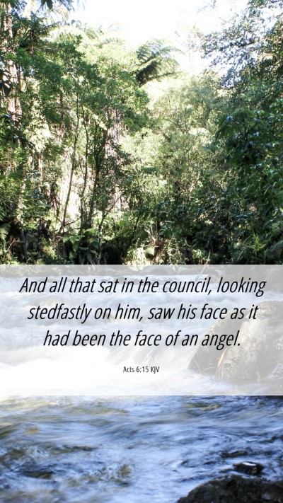Picture 06 - Acts 6:15 KJV Mobile Phone Wallpaper - And all that sat in the council, looking - Mobile Bible Verse Wallpaper