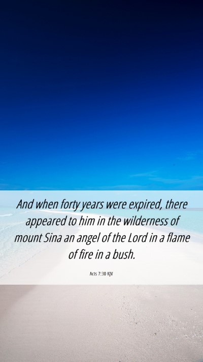 Picture 06 - Acts 7:30 KJV Mobile Phone Wallpaper - And when forty years were expired, there appeared - Mobile Bible Verse Wallpaper