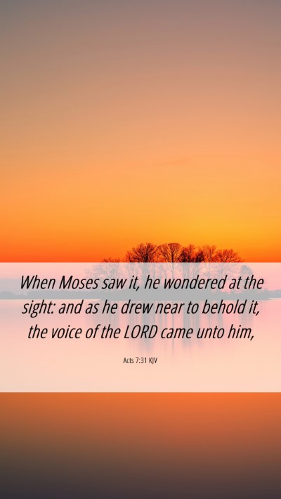 Picture 06 - Acts 7:31 KJV Mobile Phone Wallpaper - When Moses saw it, he wondered at the sight: and - Mobile Bible Verse Wallpaper