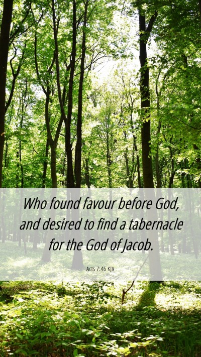 Picture 06 - Acts 7:46 KJV Mobile Phone Wallpaper - Who found favour before God, and desired to find - Mobile Bible Verse Wallpaper