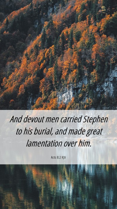 Picture 06 - Acts 8:2 KJV Mobile Phone Wallpaper - And devout men carried Stephen to his burial, and - Mobile Bible Verse Wallpaper