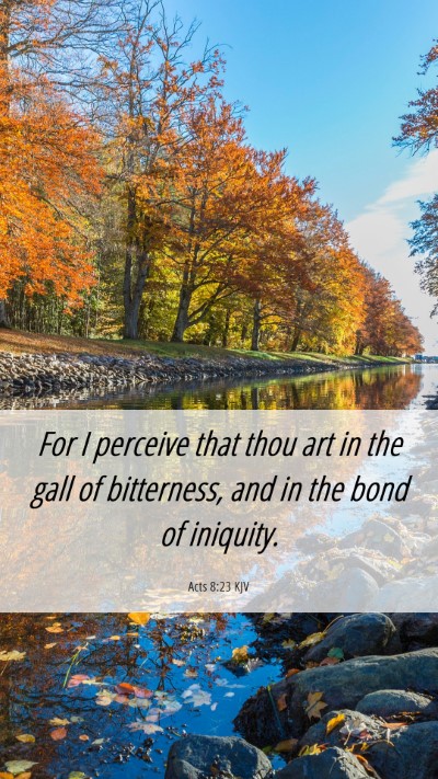 Picture 06 - Acts 8:23 KJV Mobile Phone Wallpaper - For I perceive that thou art in the gall of - Mobile Bible Verse Wallpaper