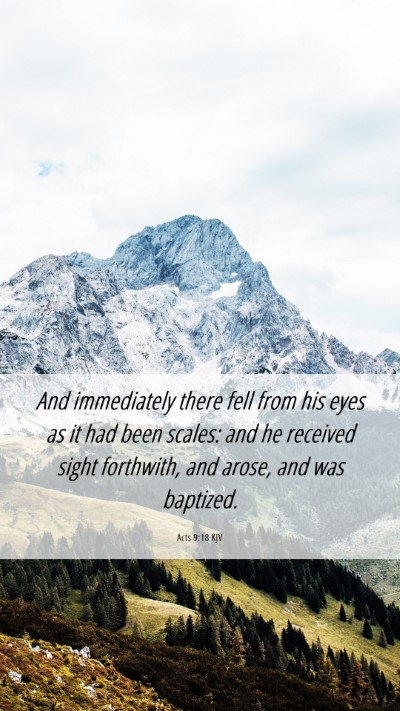 Picture 06 - Acts 9:18 KJV Mobile Phone Wallpaper - And immediately there fell from his eyes as it - Mobile Bible Verse Wallpaper