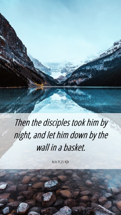 Picture 06 - Acts 9:25 KJV Mobile Phone Wallpaper - Then the disciples took him by night, and let him - Mobile Bible Verse Wallpaper