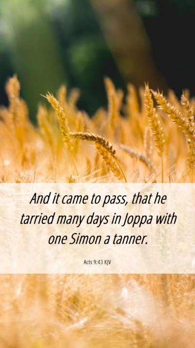 Picture 06 - Acts 9:43 KJV Mobile Phone Wallpaper - And it came to pass, that he tarried many days in - Mobile Bible Verse Wallpaper