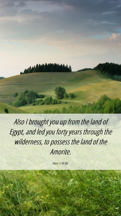 Picture 06 - Amos 2:10 KJV Mobile Phone Wallpaper - Also I brought you up from the land of Egypt, and - Mobile Bible Verse Wallpaper