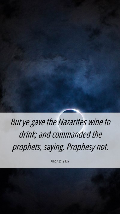 Picture 06 - Amos 2:12 KJV Mobile Phone Wallpaper - But ye gave the Nazarites wine to drink; and - Mobile Bible Verse Wallpaper