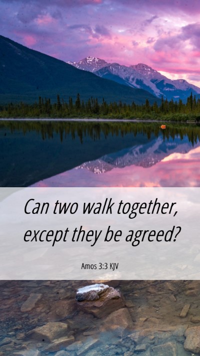Picture 06 - Amos 3:3 KJV Mobile Phone Wallpaper - Can two walk together, except they be - Mobile Bible Verse Wallpaper