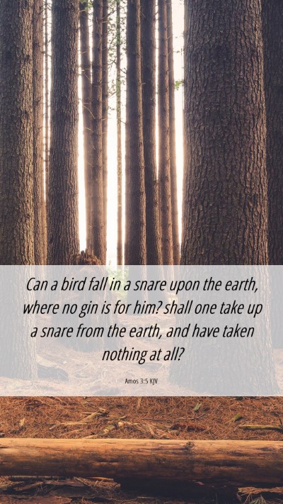 Picture 06 - Amos 3:5 KJV Mobile Phone Wallpaper - Can a bird fall in a snare upon the earth, where - Mobile Bible Verse Wallpaper