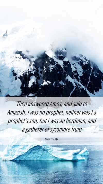 Picture 06 - Amos 7:14 KJV Mobile Phone Wallpaper - Then answered Amos, and said to Amaziah, I was no - Mobile Bible Verse Wallpaper