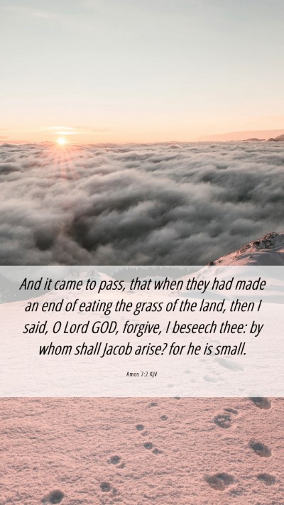 Picture 06 - Amos 7:2 KJV Mobile Phone Wallpaper - And it came to pass, that when they had made an - Mobile Bible Verse Wallpaper