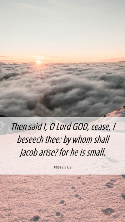 Picture 06 - Amos 7:5 KJV Mobile Phone Wallpaper - Then said I, O Lord GOD, cease, I beseech thee: - Mobile Bible Verse Wallpaper