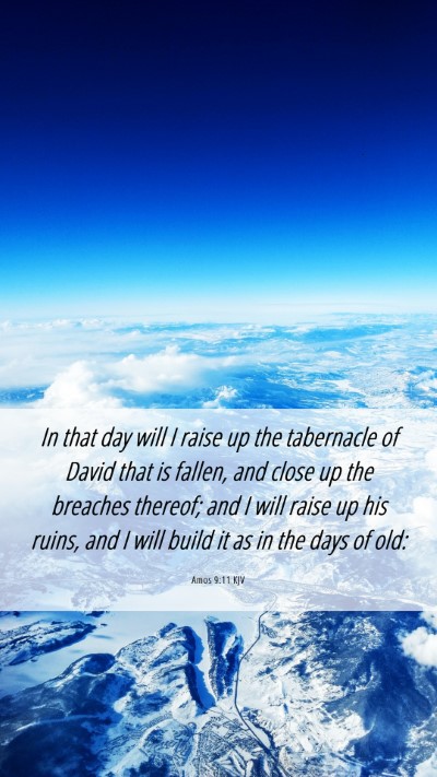Picture 06 - Amos 9:11 KJV Mobile Phone Wallpaper - In that day will I raise up the tabernacle of - Mobile Bible Verse Wallpaper