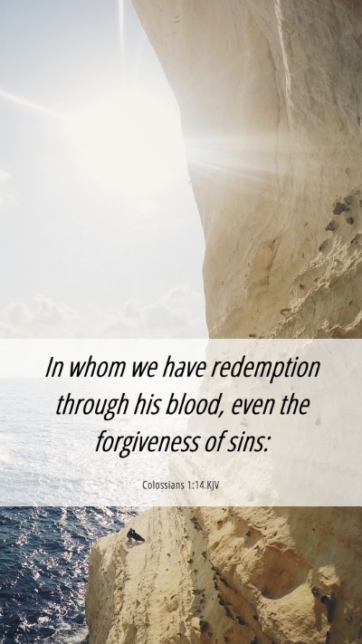 Picture 06 - Colossians 1:14 KJV Mobile Phone Wallpaper - In whom we have redemption through his blood, - Mobile Bible Verse Wallpaper