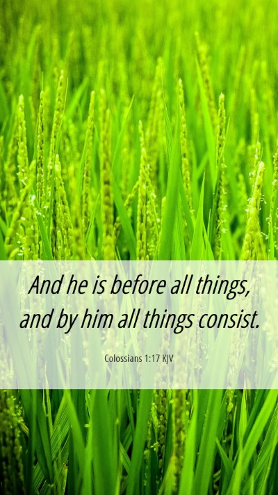Picture 06 - Colossians 1:17 KJV Mobile Phone Wallpaper - And he is before all things, and by him all - Mobile Bible Verse Wallpaper