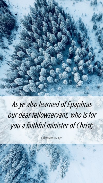Picture 06 - Colossians 1:7 KJV Mobile Phone Wallpaper - As ye also learned of Epaphras our dear - Mobile Bible Verse Wallpaper